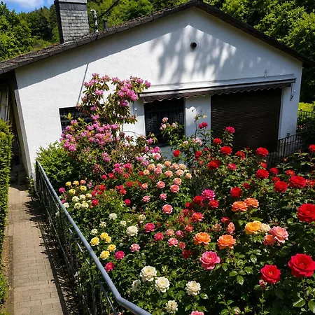 Terrassenblick Altstadt Monschau